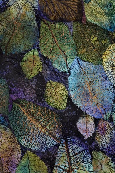 StevenVLopez 6 Stringsattached009